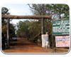 Farahabad Tiger Forest