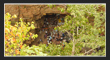 Loddi Mallaiah Temple, Mahabubnagar, TS Tourism.