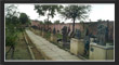 PillalaMarri, TS Tourism, Telangana.