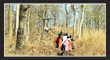 Saleshwaram Temple, Telangana Tourism, TS