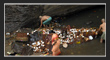 Saleshwaram Temple, Telangana Tourism, TS