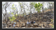 Saleshwaram Cave Temple, Telangana Tourism, TG