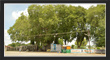 Kolanupaka Jain Mandir & Lord Shiva Temple, TS TOURISM.