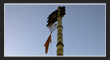 kanteshwar Temple, Nizamabad Tourism, TS.