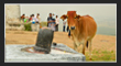 Keesaragutta, TS Tourism.