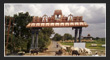 Komuravelli Mallanna Temple, Telangana Tourism, TS.