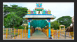 Medaram Jatara, Warangal Tourism, Telangana.