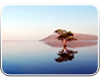 Pakhal Lake