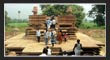 Ramappa Temple, Telangana Tourism, TS.